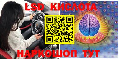 ГАЛЛЮЦИНОГЕННЫЕ ГРИБЫ Рыбинск