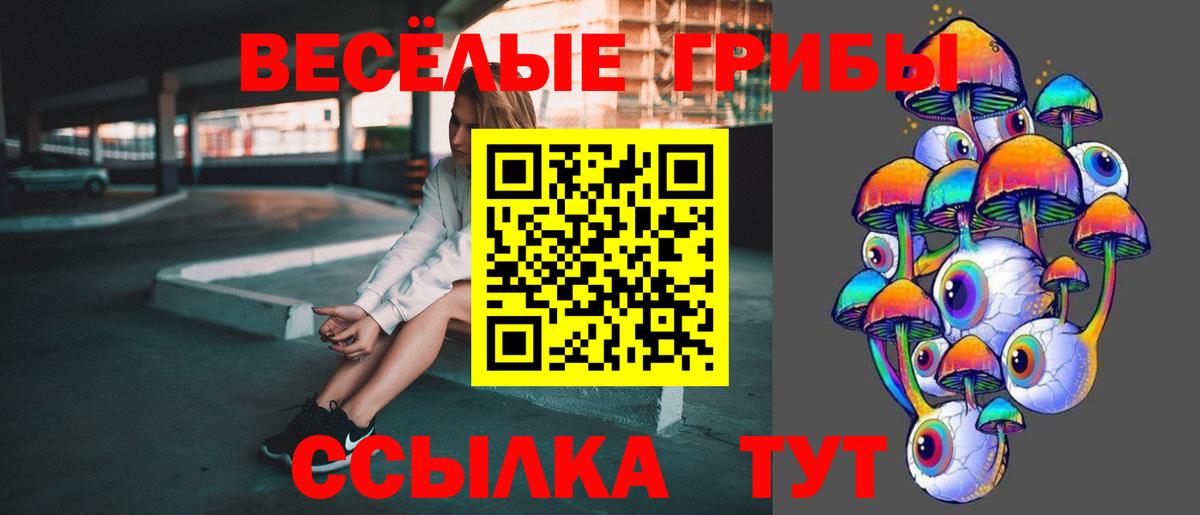 Псилоцибиновые грибы Psilocybe  Серпухов 