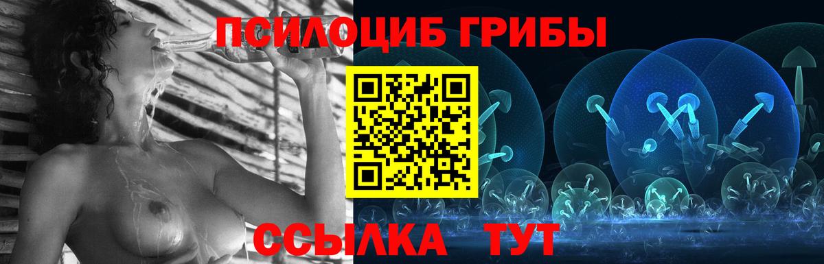 купить  цена  Галлюциногенные грибы Magic Shrooms  Серпухов  Вход с VPN  Галлюциногенные грибы Psilocybe 